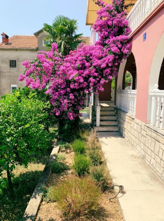 Peaceful, Cosy Tivat Guesthouse Zewnętrze zdjęcie